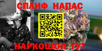 крисы Лесосибирск