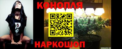 крисы Лесосибирск