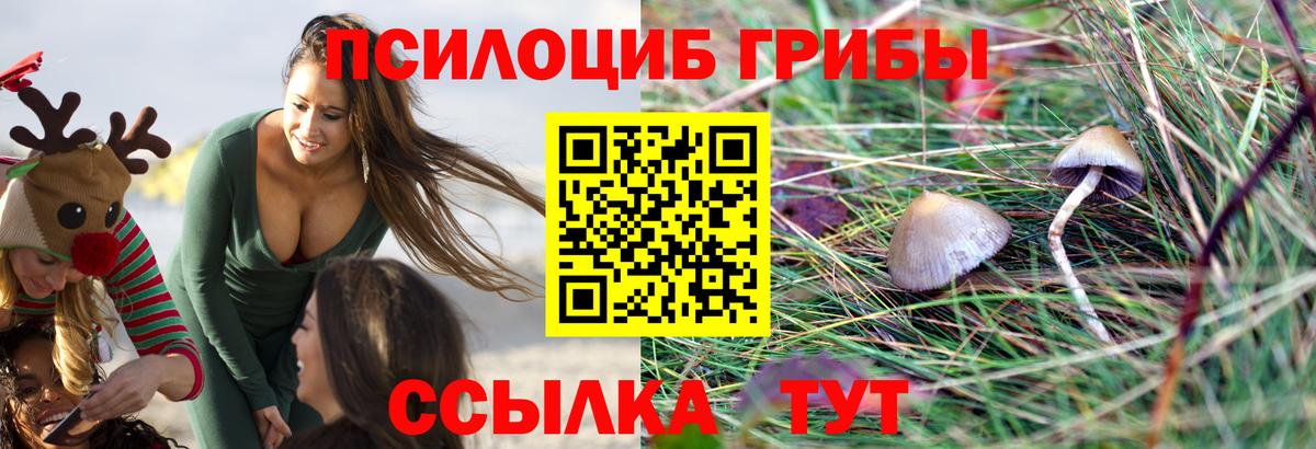 Жигулёвск  Галлюциногенные грибы ЛСД  Вход с VPN 