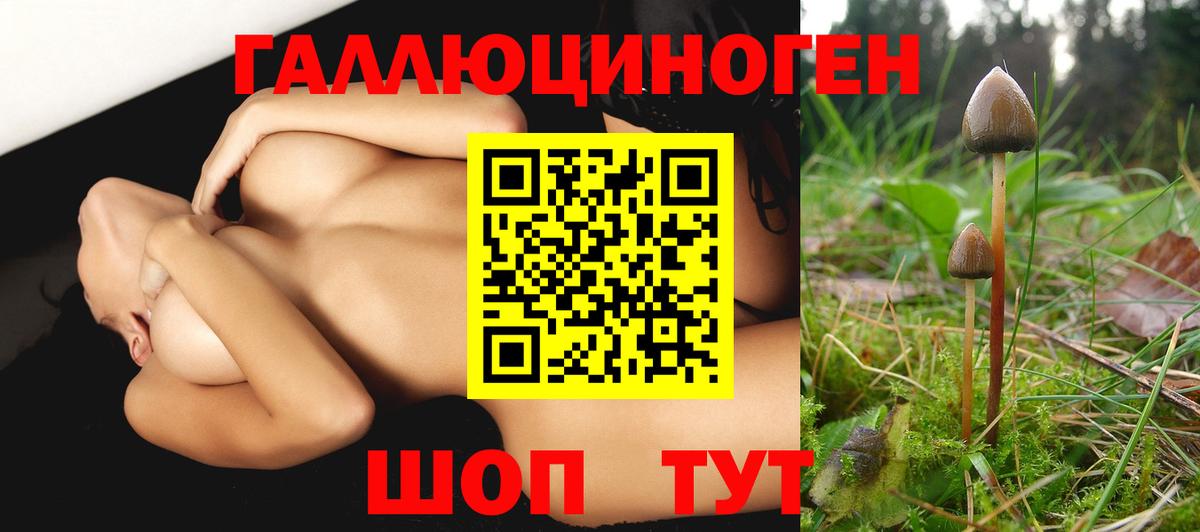 Псилоцибиновые грибы Psilocybe Жигулёвск